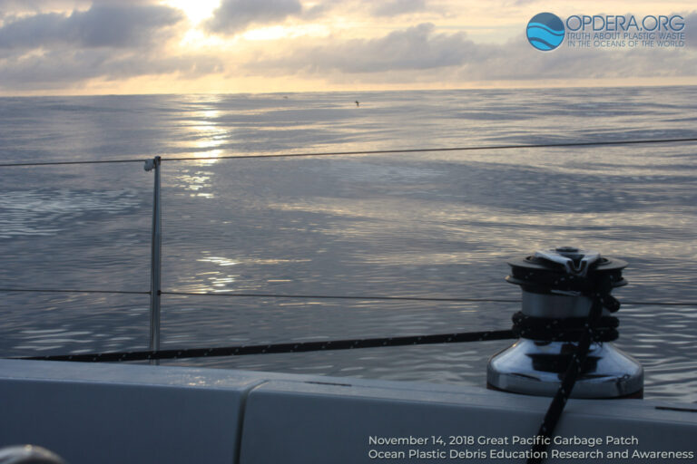 About | Opdera.org | The Truth About Plastic Waste In The World'S Oceans Great pacific garbage patch, opdera. Org, plastic waste, plastic, ocean, ocean plastic
