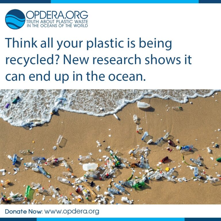 great pacific garbage patch, plastic pollution, OPDERA, environment